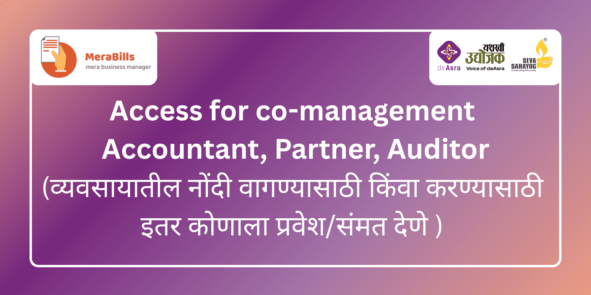 Access for co-management - Accountant, Partner, Auditor