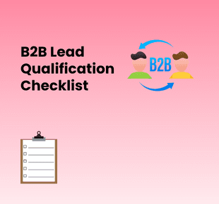 B2B Lead Qualification Checklist