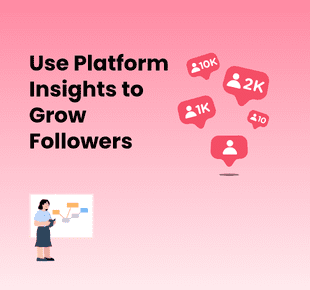 Guide: How to Use Insights to Grow Followers